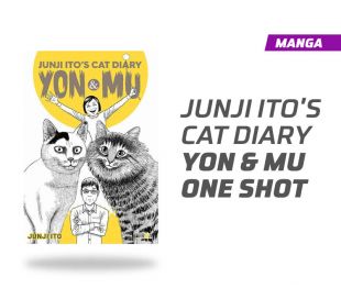 JUNJI ITO CATS DIARY (IVREA)