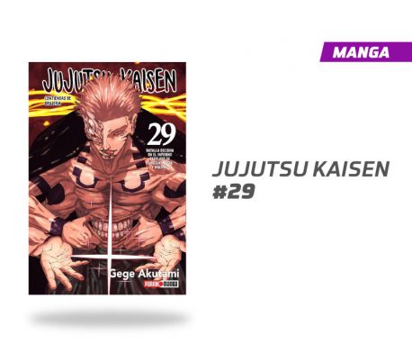 Jujutsu Kaisen número 29