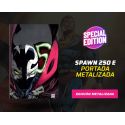 Spawn número 250 Portada E (Edicion especial Metalizada)