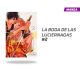 LA BODA DE LAS LUCIÉRNAGAS NÚMERO 2