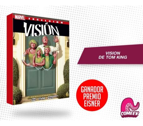 Vision de Tom King