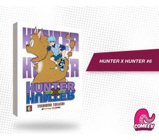 Hunter X Hunter número 6