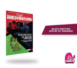 Black Panther World Of Wakanda