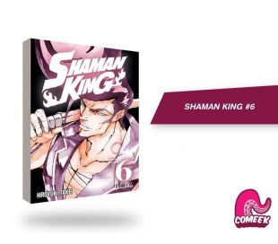 Shaman King número 6