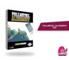 Fullmetal Alchemist número 25