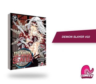 Kimetsu No Yaiba (Demon Slayer) número 22