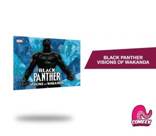 Black Panther Visions of Wakanda