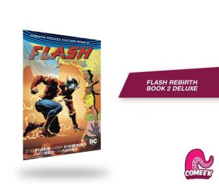 Flash Rebirth Deluxe Book 2