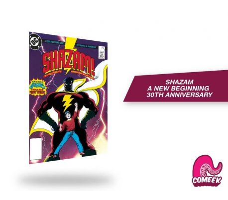 SHAZAM A NEW BEGINNING 30TH ANNIV DLX ED HC SHAZAM A NEW BEGINNING 30TH ANNIV DLX ED HC