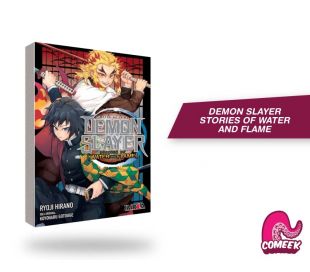 DEMON SLAYER STORIES OF WATER AND FLAME