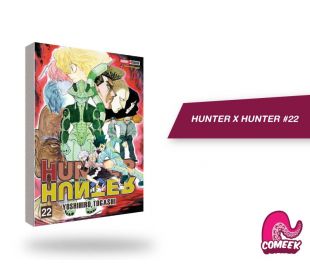 Hunter X Hunter número 22