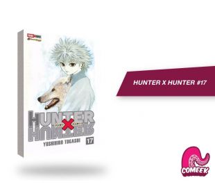 Hunter X Hunter número 17
