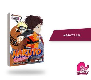 Naruto número 29