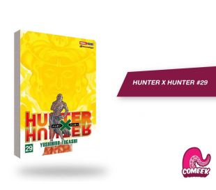 Hunter x Hunter número 29