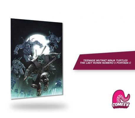 Teenage Mutant Ninja Turtles The Last Ronin número 5 Portada C
