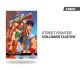 Street Fighter Vol 4