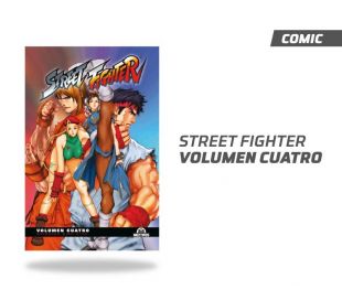 Street Fighter Vol 4