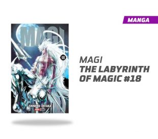 Magi The labyrinth of magic número 18