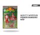 Mighty Morphin Powers Rangers número 2 portada D
