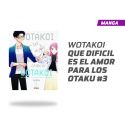 Wotakoi Que Difícil es el Amor para los Otakus número 3