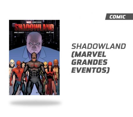 Daredevil Shadowland (smash)