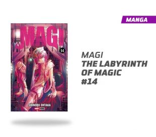 Magi The labyrinth of magic número 14