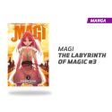 Magi The labyrinth of magic número 3