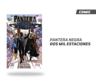 Pantera Negra Dos Mil Estaciones