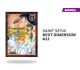 Saint Seiya Next Dimension número 11