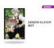 Kimetsu No Yaiba (Demon Slayer) número 17