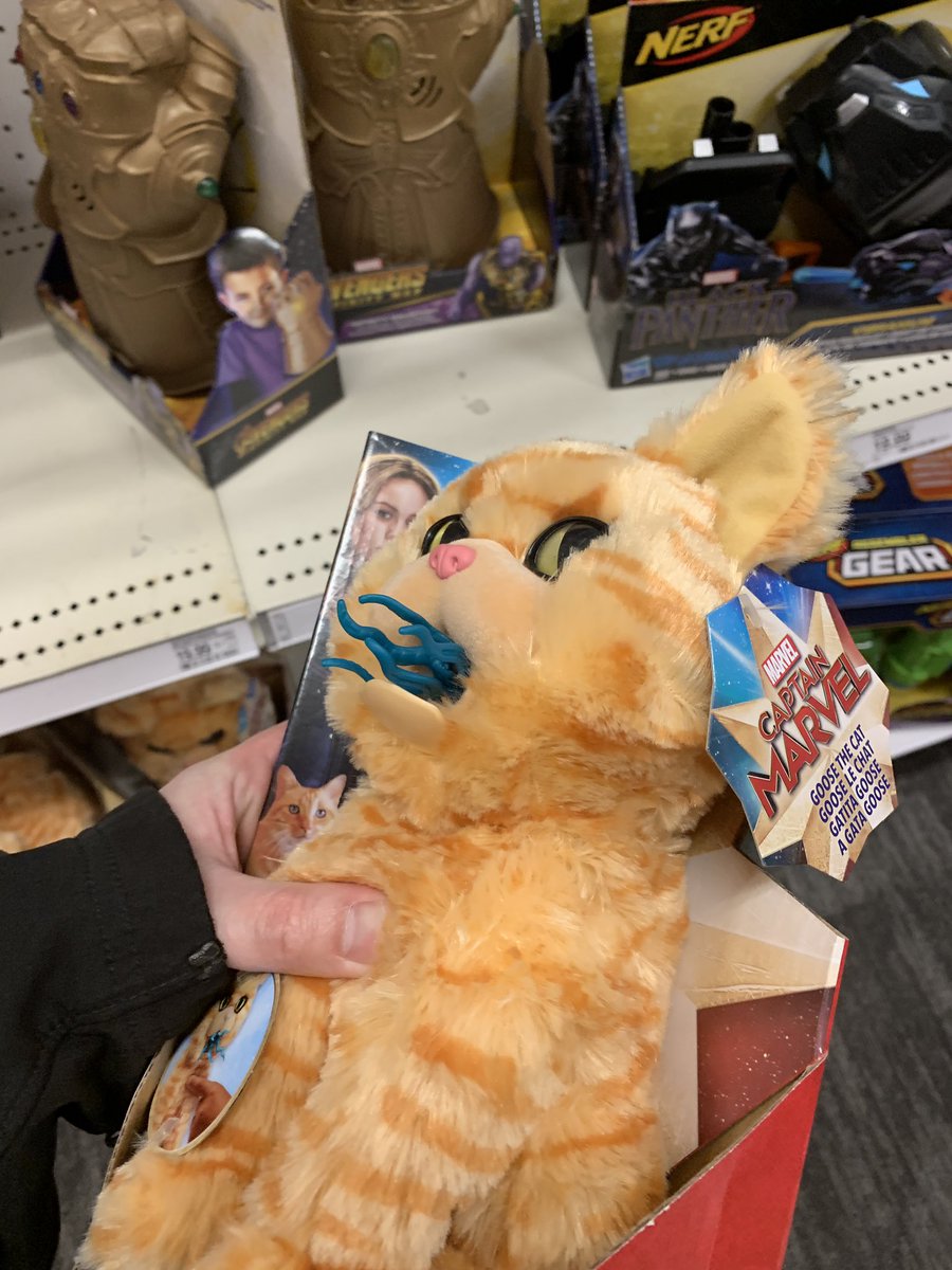 El gato de Capitana Marvel